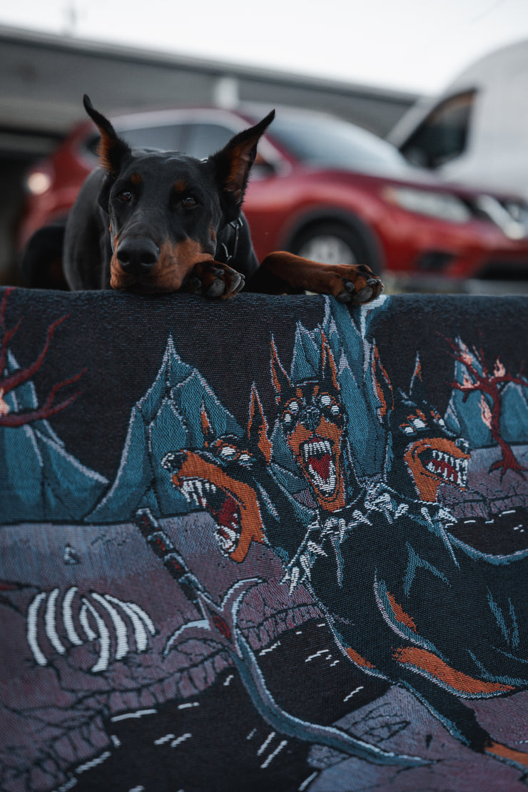 Noodle the Doberman on the Brimstone blanket.