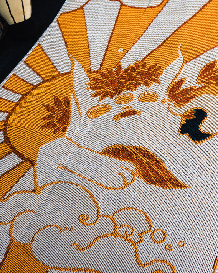 Close up of Sun cat face.